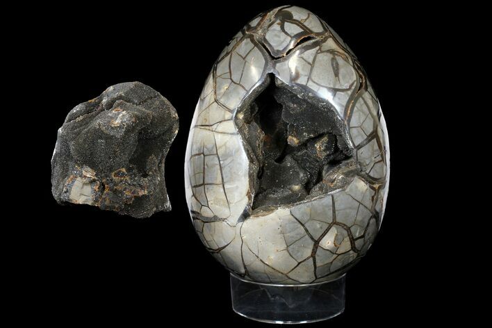 Giant, Polished Septarian Puzzle Geode ( lbs) - Black Crystals #127154